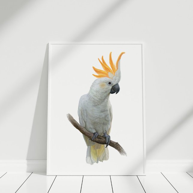 White Hand plockade Cockatoo Poster (White Hand drawn Cockatoo Poster in white frame)