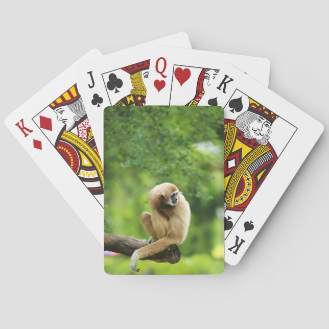 White Handed Gibbon a Träd Casinokort (Baksidan)
