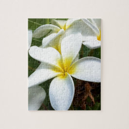 White Hawaii Plumeria Flower Pussel