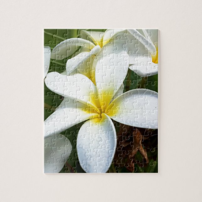 White Hawaii Plumeria Flower Pussel (Vertikal)