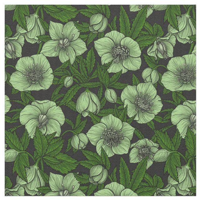 White Hellebores med löv Tyg (Närbild)