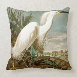 White Heron av John James Audubon Kudde