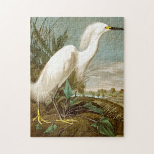White Heron av John James Audubon Pussel