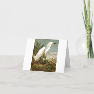 White Heron av John James Audubon Tack Kort