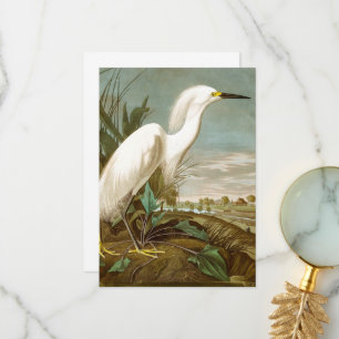 White Heron av John James Audubon Tack Kort