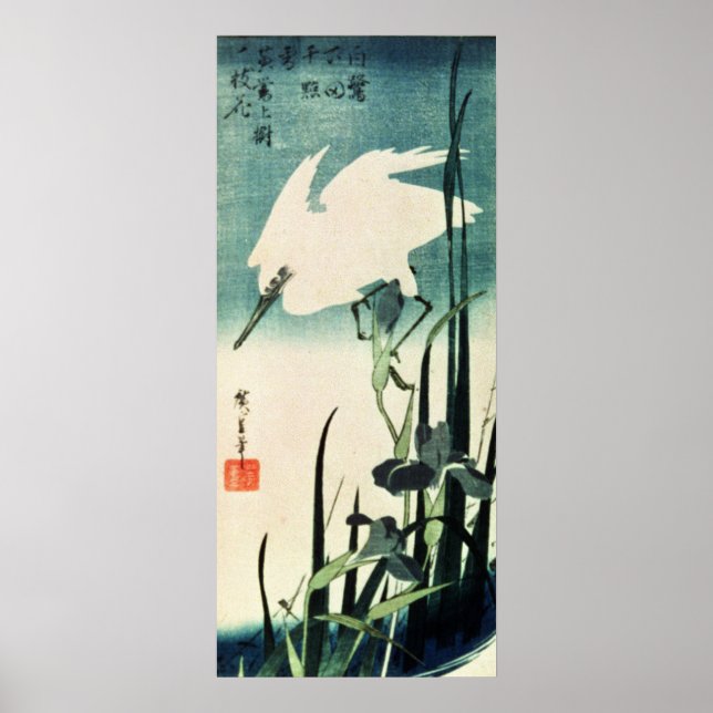White Heron och Iris Poster (Framsidan)