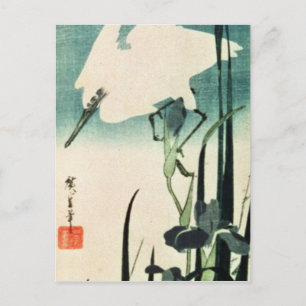White Heron och Iris Vykort