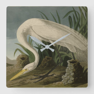 White Heron, Underbar Egret, Audubon Birds of Amer Fyrkantig Klocka