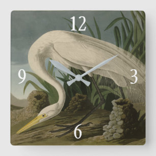 White Heron, Underbar Egret, Audubon Birds of Amer Fyrkantig Klocka