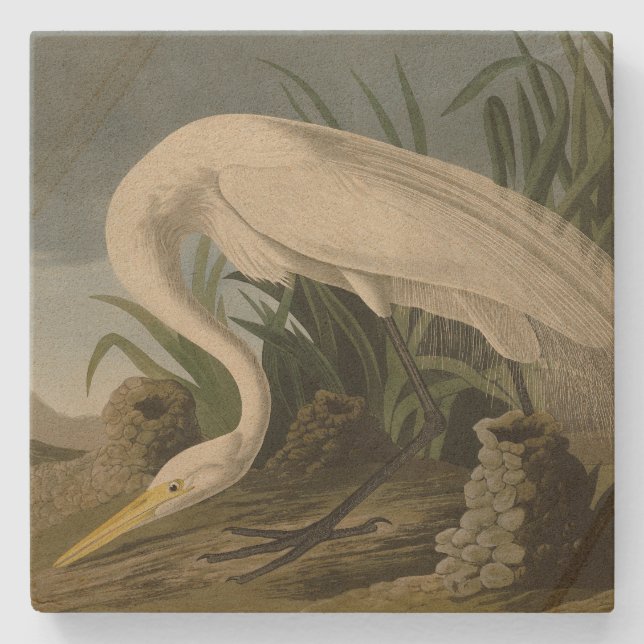 White Heron, Underbar Egret, Audubon Birds of Amer Stenunderlägg (Framsidan)