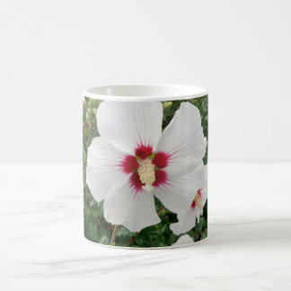 White Hibiscus Coffee Mugg