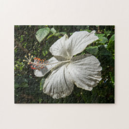 White Hibiscus | Fredlig natur Pussel