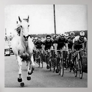 White Horse 1975 Tour De France Färg Redux Poster
