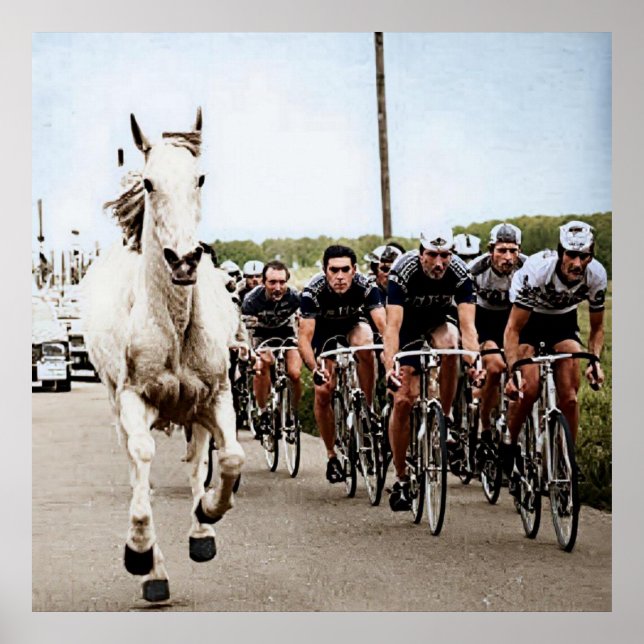 White Horse 1975 Tour De Frankrike Färg Redux Poster (Framsidan)