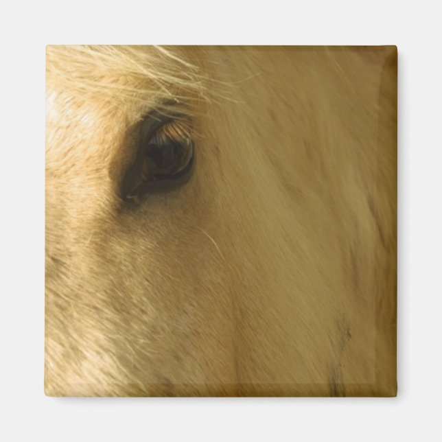 White Horse Closeup Magnet (Framsidan)