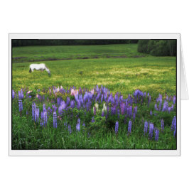 White Horse i Lupine Fält Hälsningskort