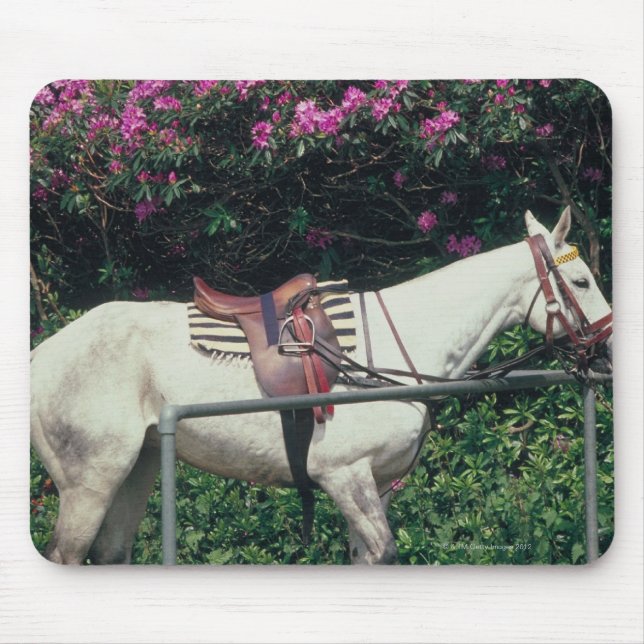 White Horse in a Garden Musmatta (Framsidan)