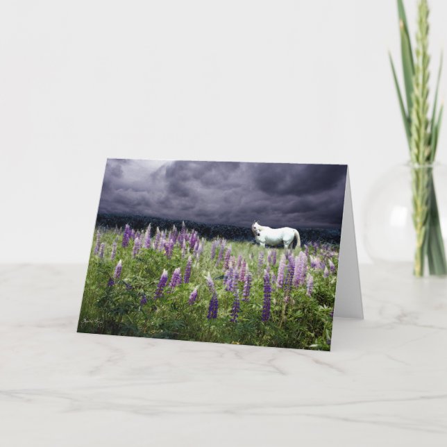 White Horse in a Lupine Storm Kort (Framsida)