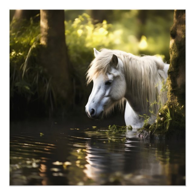 White Horse in Pond Fototryck (Framsidan)