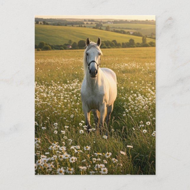 White Horse in Wildflower Meadow Postcard Helg Vykort (Framsida)
