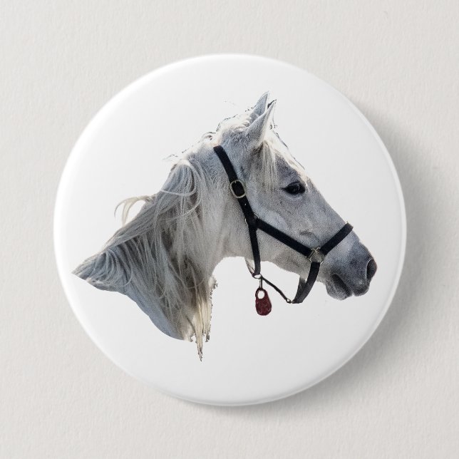White Horse Knapp (Framsida)