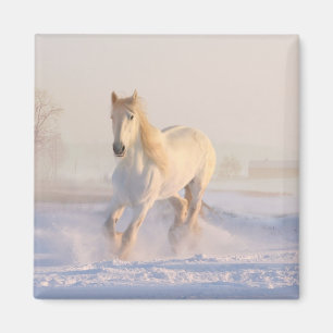 White Horse Lover Westernare Equestrian Farm Pony Magnet