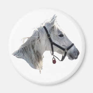 White Horse Magnet