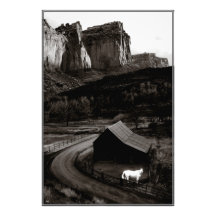 White Horse Monochrome Canyonlands - öppen utskrif