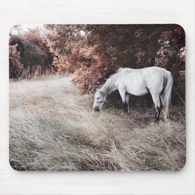 White Horse Musmatta (Framsidan)