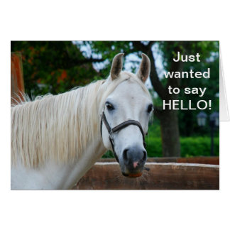 White Horse OBS Kort