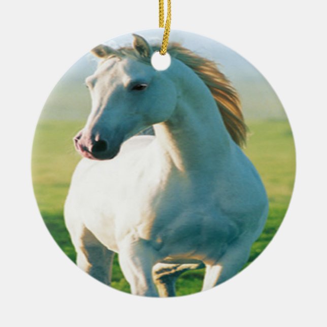 White Horse Ornament (Framsidan)