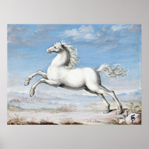 White Horse Painting Joris Hoefnagel Vintage Renai Poster