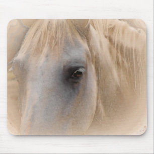 White Horse Porträtt Musmatta