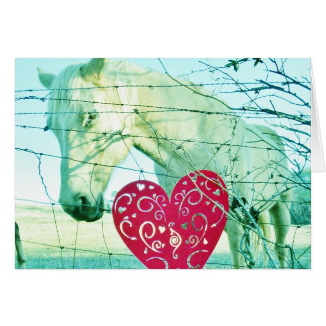 White Horse Red Heart Valentine Hälsningskort (Framsidan Horizontal)