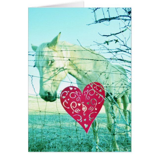 White Horse Red Heart Valentine Hälsningskort (Framsidan)
