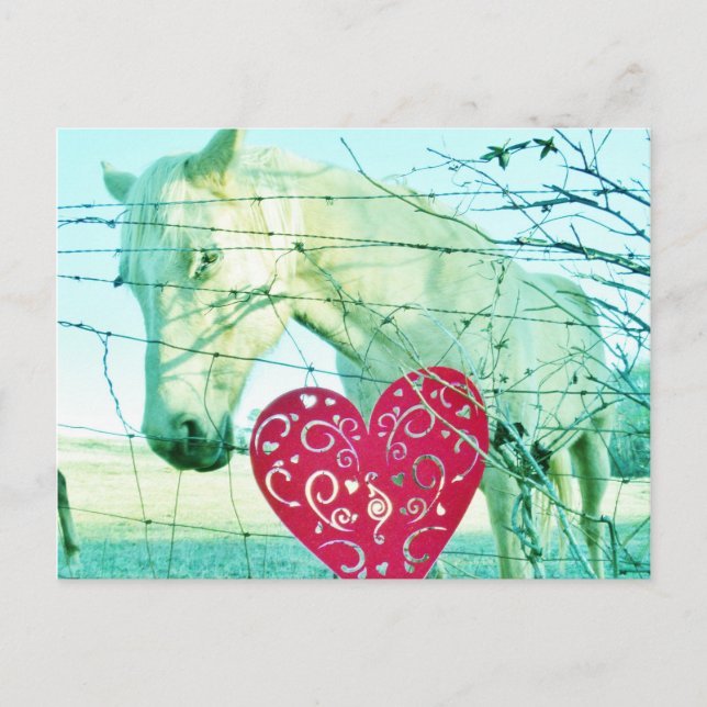 White Horse Red Heart Valentine Helg Vykort (Framsida)