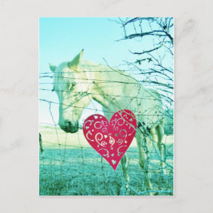 White Horse Red Heart Valentine Helg Vykort