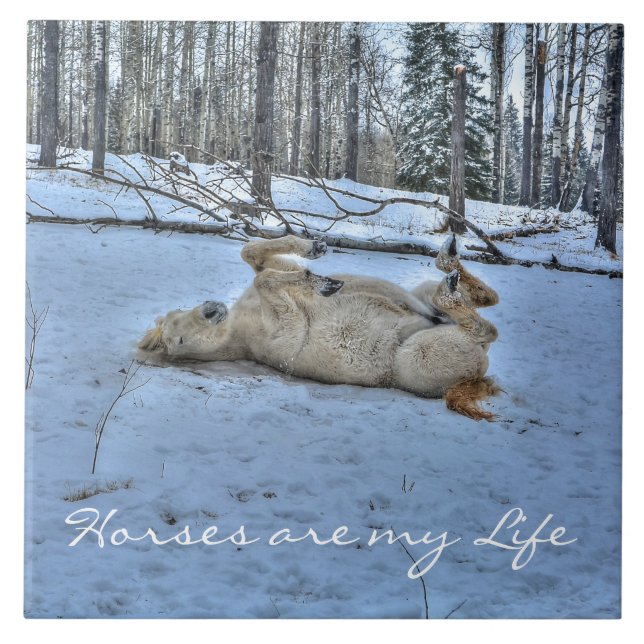 White Horse Rolling in Winter Snö Kakelplatta (Framsidan)