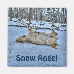White Horse Rolling in Winter Snö Magnet