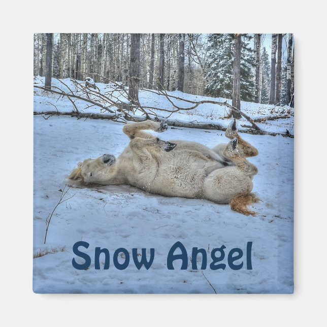 White Horse Rolling in Winter Snö Magnet (Framsidan)