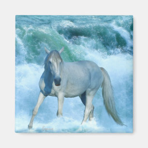 White Horse & RollOcean Surfa Art Magnet