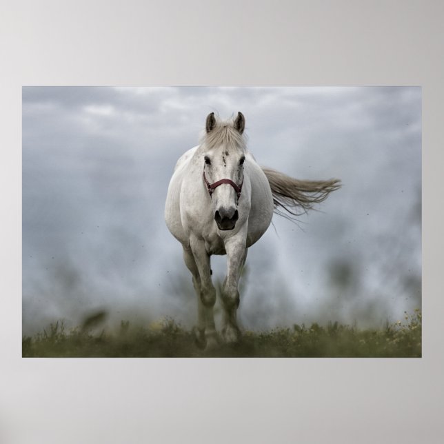 White Horse Running Poster (Framsidan)