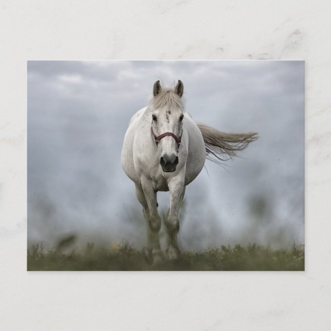 White Horse Running Vykort (Framsida)