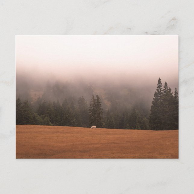 White Horse Vykort (Framsida)