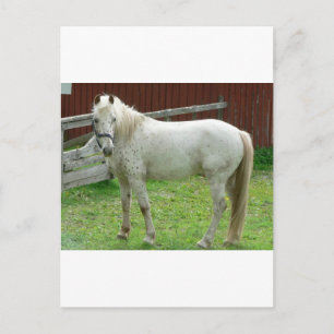 White Horse Vykort