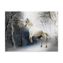 White Horse Winter Forest Postcross