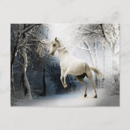 White Horse Winter Forest Postcross Vykort