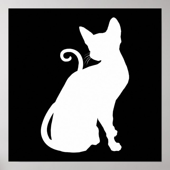 White House Cat Poster (Framsidan)