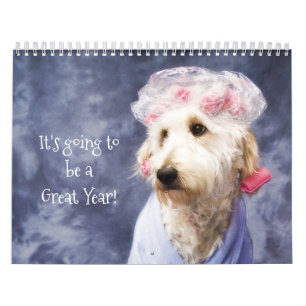 White Hund Funny Calendar Golden Doodle Kalender
