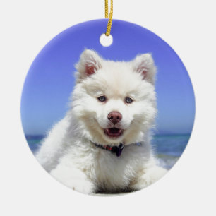 White Husky Puppy med Blue Öga Julgransprydnad Keramik
